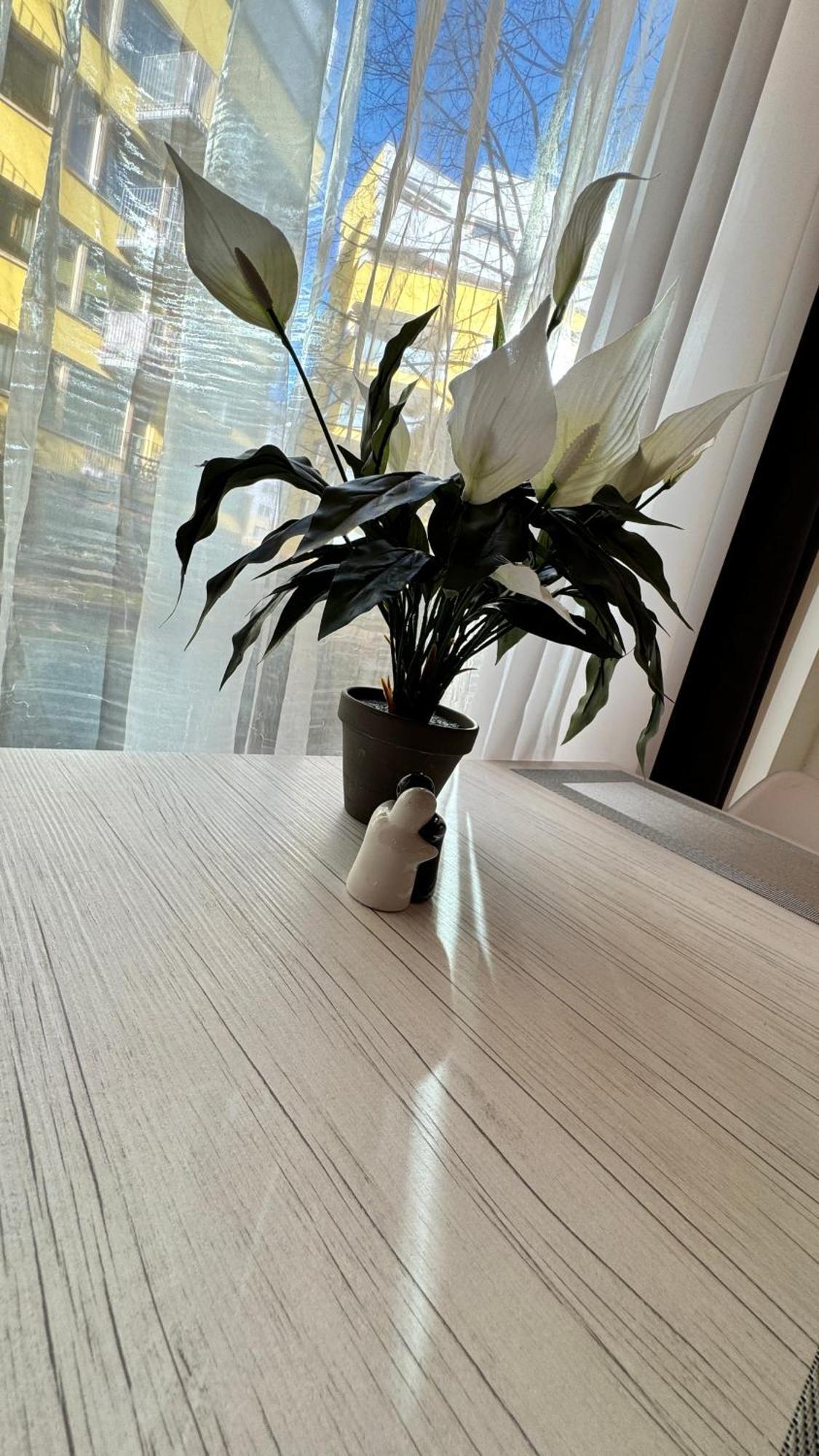 Apartamento Jeseniova Praga